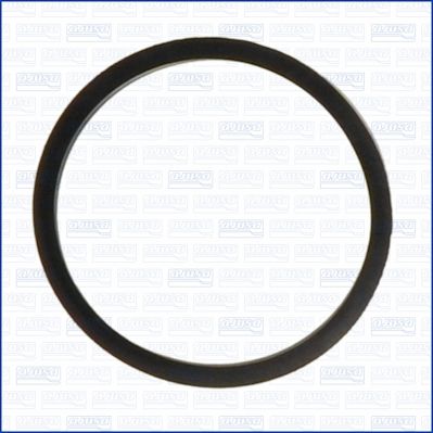 Dichtung Thermostat AJUSA 00522800