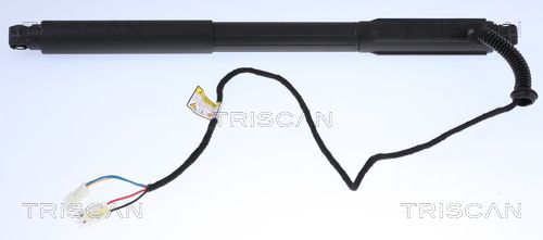 Gasfeder, Koffer-/Laderaum TRISCAN 871011304