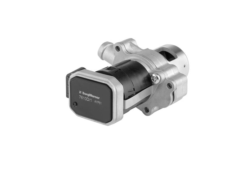 AGR-Ventil BORGWARNER 7610D/1