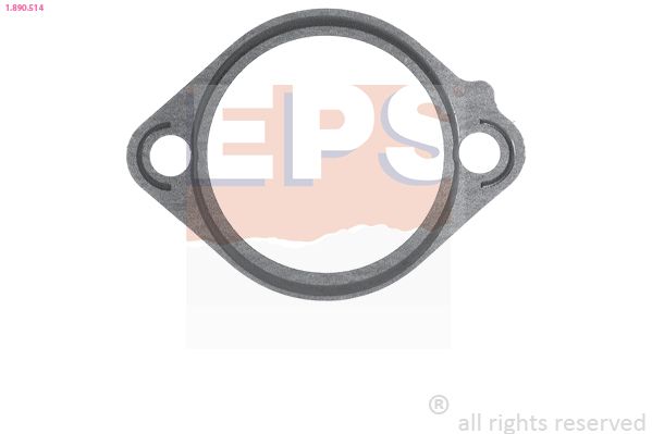 Dichtung, Thermostat EPS 1-890-514