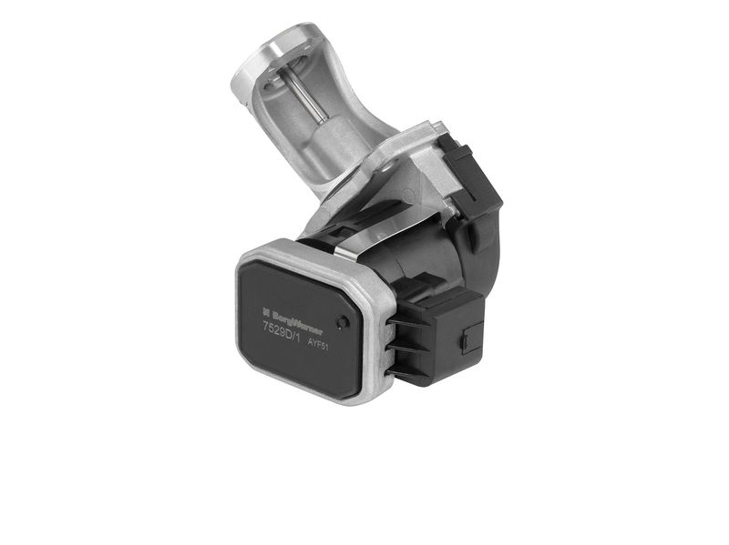 AGR-Ventil BORGWARNER 7529D/1