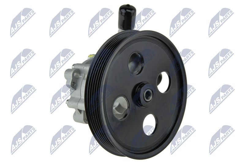 Servopumpe Hydraulikpumpe NTY SPW-CH-048
