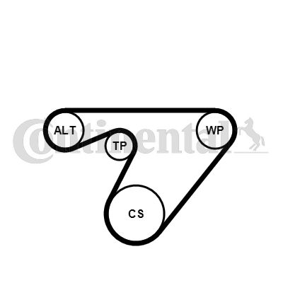 Keilrippenriemensatz CONTINENTAL CTAM 6pk1180k3