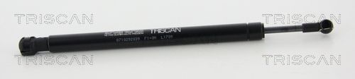 Heckklappendämpfer TRISCAN 8710 292039