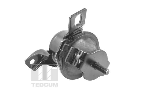 Motorlager TEDGUM 00441120