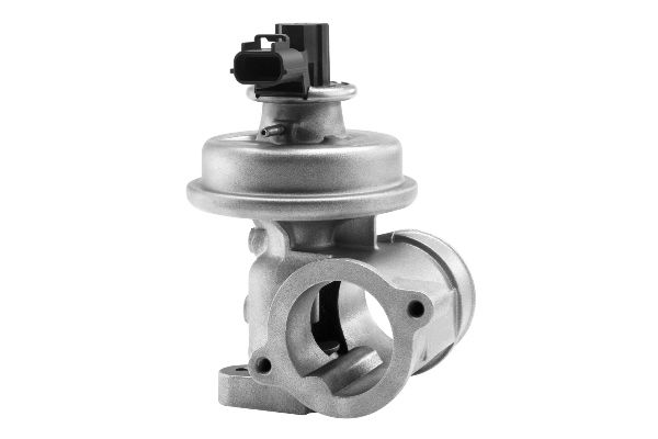 AGR-Ventil WAHLER 710923R