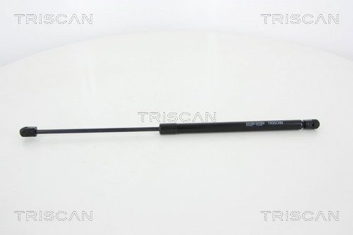 Heckklappendämpfer TRISCAN 8710 25257