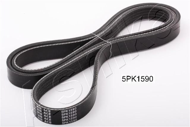 Keilrippenriemen Ashika 112-5PK1590