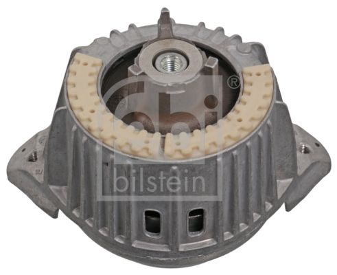 Lagerung, Motor FEBI BILSTEIN 101077