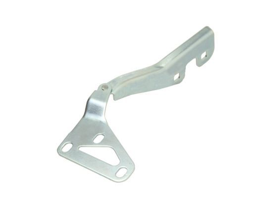 Scharnier, Motorhaube BLIC 6802-00-5052451P