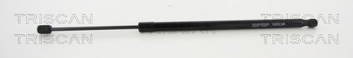 Gasfeder, Koffer-/Laderaum TRISCAN 871015250