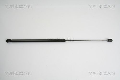 Heckklappendämpfer TRISCAN 8710 38222