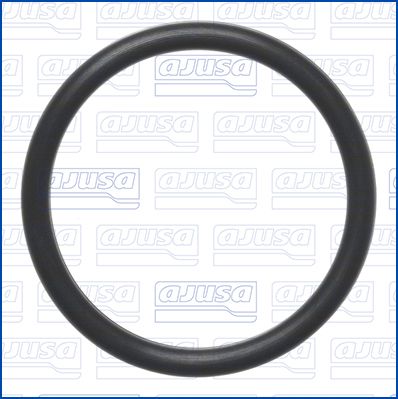 Dichtung, Wasserpumpe AJUSA 16547700