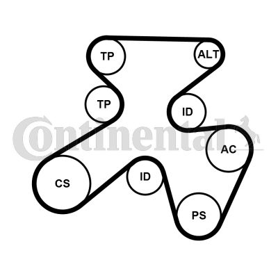 Keilrippenriemensatz CONTINENTAL CTAM 7PK1855K1