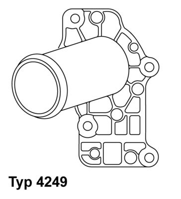 Thermostat, Kühlmittel WAHLER 4249.83d