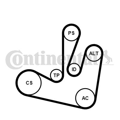 Keilrippenriemensatz CONTINENTAL CTAM 6pk1750k2