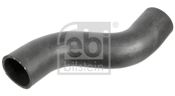 Kühlerschlauch FEBI BILSTEIN 173381