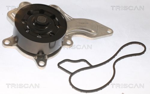 Wasserpumpe TRISCAN 8600 13053