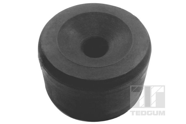 Lagerung, Fahrzeugrahmen TEDGUM 00376204