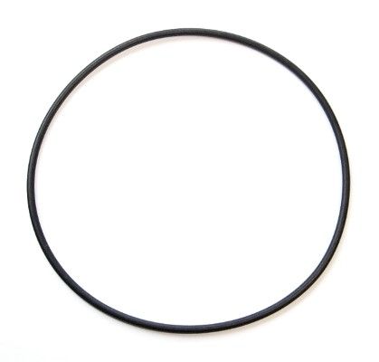 Dichtring ELRING 743.420