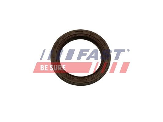 Wellendichtring, Differential FAST FT49852