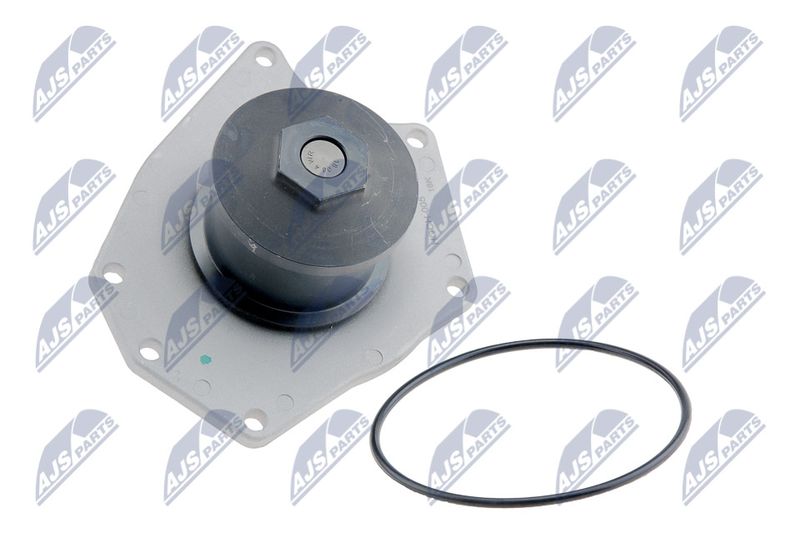 Wasserpumpe, Motorkühlung NTY CPW-CH-005