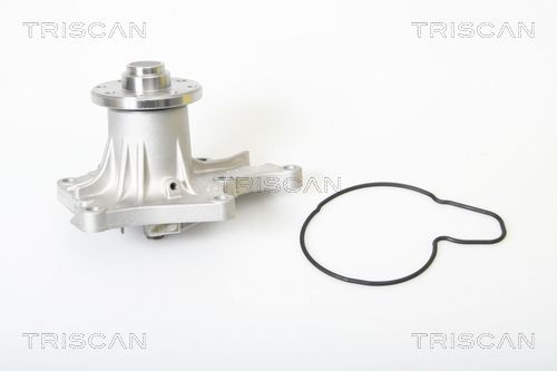 Wasserpumpe TRISCAN 8600 60103