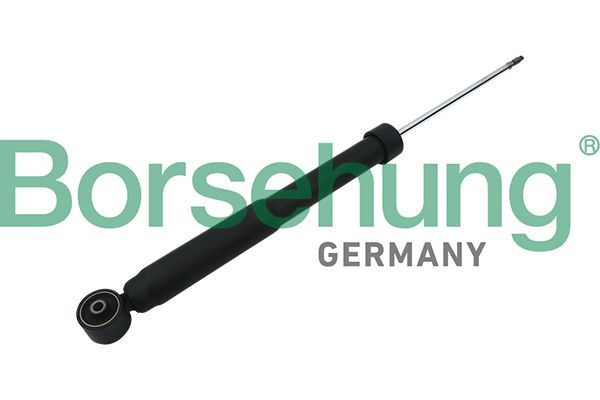Stoßdämpfer BORSEHUNG B17895