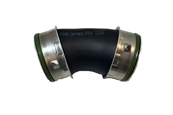 Ladeluftschlauch BUGIAD 87614