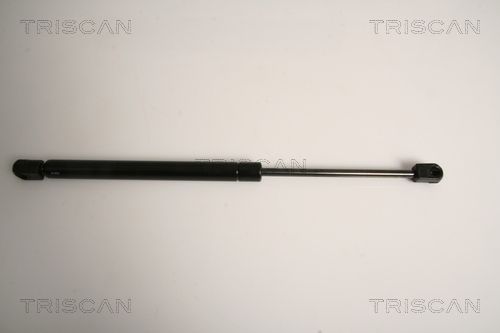 Gasfeder Heckscheibe TRISCAN 8710 15242