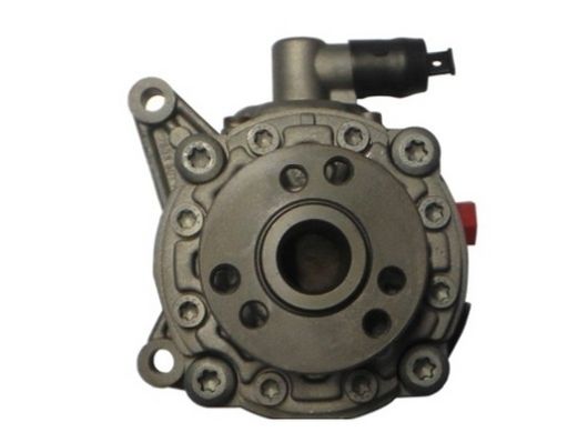 Hydraulikpumpe, Lenkung SPIDAN 54360