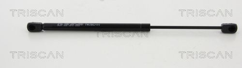 Heckklappendämpfer TRISCAN 8710 24240