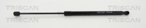 Gasfeder, Koffer-/Laderaum TRISCAN 8710292033