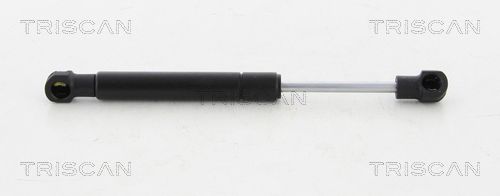 Heckklappendämpfer TRISCAN 8710 20203