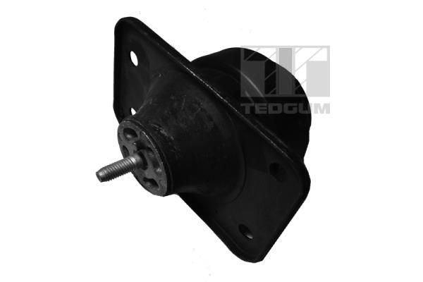 Lagerung, Motor TEDGUM 00167968