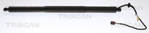 Heckklappendämpfer TRISCAN 8710 20301