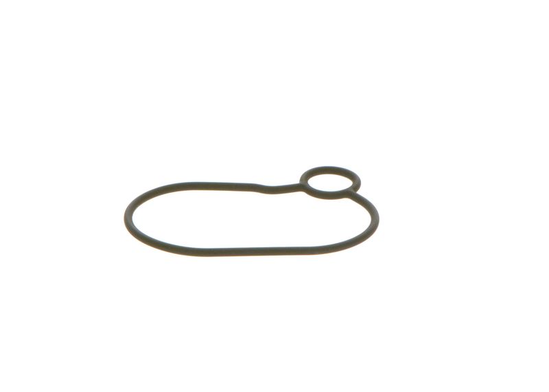 Dichtring BOSCH 2440210054