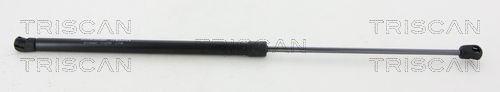 Heckklappendämpfer TRISCAN 8710 24261
