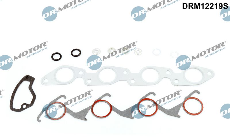 Dichtungsvollsatz  Motor Dr.Motor Automotive DRM12219S