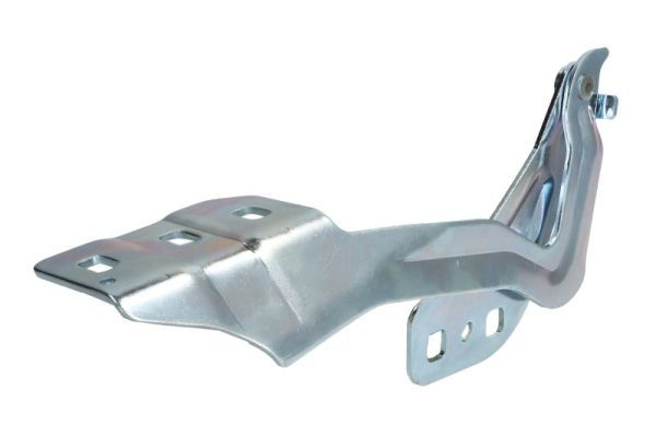 Scharnier, Motorhaube BLIC 6802-00-2558452P