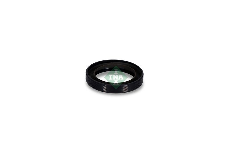 Wellendichtring Nockenwelle INA 413 0408 10
