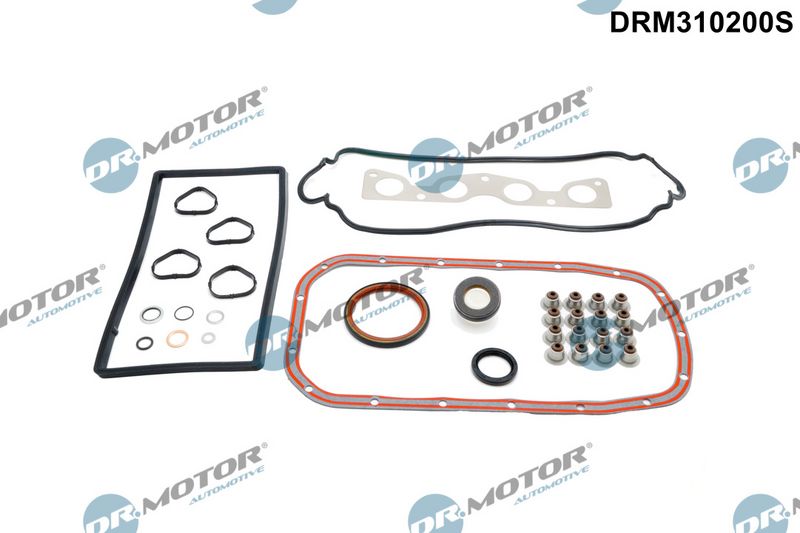 Dichtungsvollsatz  Motor Dr.Motor Automotive DRM310200S