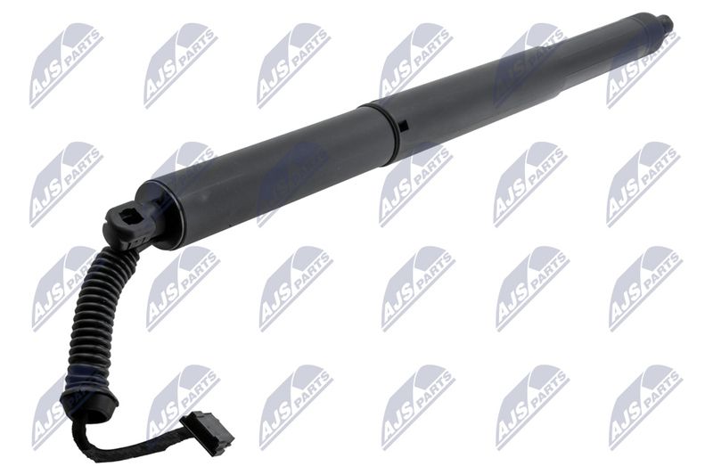 Gasfeder, Koffer-/Laderaum NTY AE-BM-120