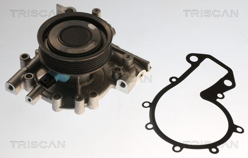 Wasserpumpe TRISCAN 8600 24020V
