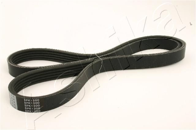 Keilrippenriemen Ashika 112-5PK1200