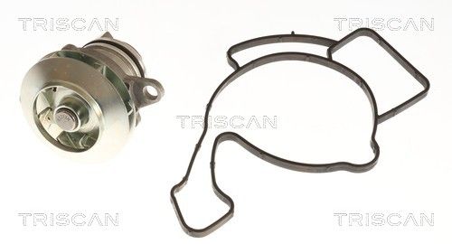 Wasserpumpe TRISCAN 8600 15041