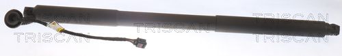 Heckklappendämpfer TRISCAN 8710 27306