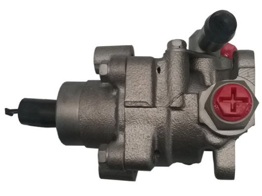 Hydraulikpumpe, Lenkung SPIDAN GKNY10081