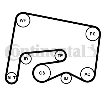 Keilrippenriemensatz CONTINENTAL CTAM 6PK2155K1