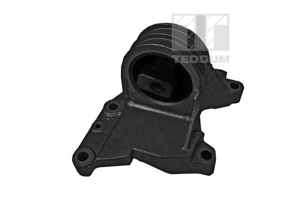 Lagerung, Motor TEDGUM 00741001